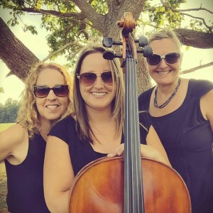 Ceremonious Strings LLC  - String Trio / Classical Ensemble in Manahawkin, New Jersey