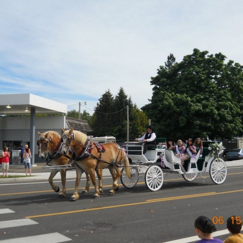 Hire Chafin Farm Carriages - Horse Drawn Carriage in Sweet Home, Oregon