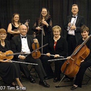 Chamber Music Unlimited/Bands and More - String Quartet in Houston, Texas