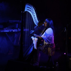 Charla Murray, Harpist - Rock Band / Multi-Instrumentalist in Tyler, Texas
