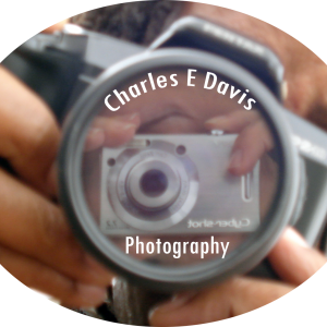 Charles E Davis Photography - Photographer in Oakland, California