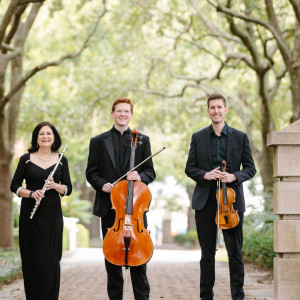 Charleston Flutist. LLC - Classical Ensemble / Cellist in Mount Pleasant, South Carolina