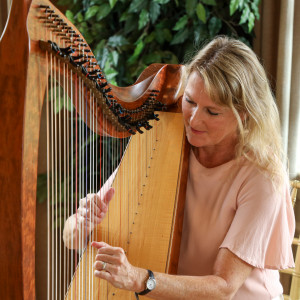 Kim Perkins Harp - Harpist in Mount Pleasant, South Carolina