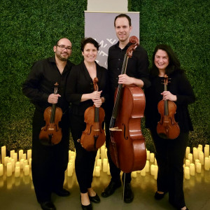 Charlotte Strings for Events - String Quartet in Charlotte, North Carolina