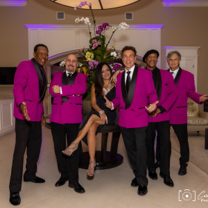 Chase Music & Entertainment - Wedding Band / Wedding Entertainment in West Palm Beach, Florida