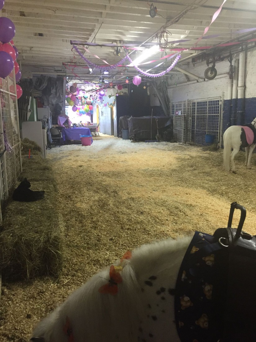 Chateau pony parties