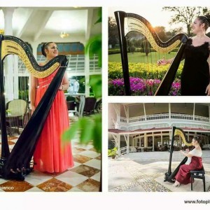 Chiara Capobianco harpist for events - Harpist / Irish / Scottish Entertainment in San Diego, California