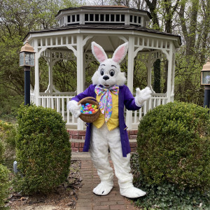 Cincy Easter Bunny - Easter Bunny / Costumed Character in West Chester, Ohio