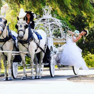 Cindy Cinderella Carriages - Horse Drawn Carriage / Holiday Party Entertainment in Riverside, California