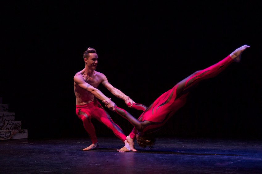 Hire Circus Phoenix Circus Entertainment in Houston, Texas