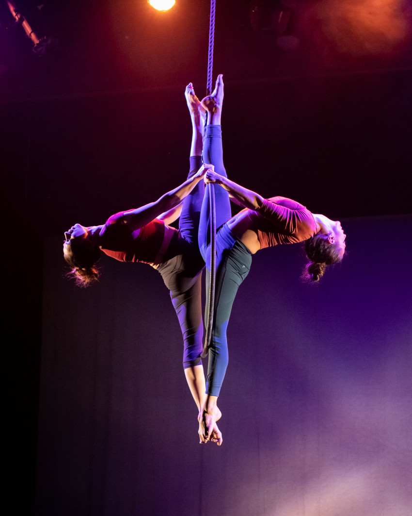 Gallery photo 1 of Circus Scorpius