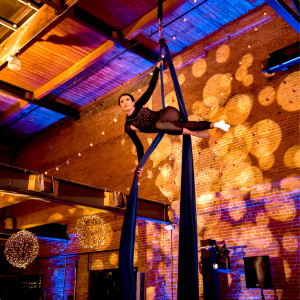 Cirque de Vol - Circus Entertainment / Trapeze Artist in Chicago, Illinois