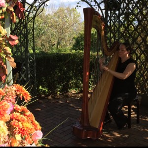 City Winds Flute and Harp  Duo - Classical Ensemble / Funeral Music in Boonton, New Jersey