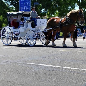 CL Ranch - Horse Drawn Carriage / Limo Service Company in Grantsville, Utah