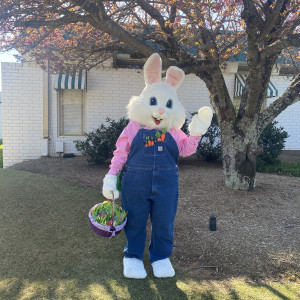 Classic Claus - Santa Claus / Easter Bunny in Charlotte, North Carolina