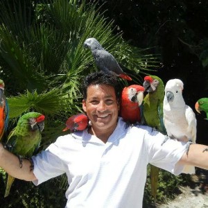 Clint Carvalho & His Extreme Parrots