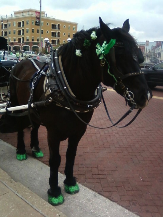 Gallery photo 1 of Clippity Clop Carriage