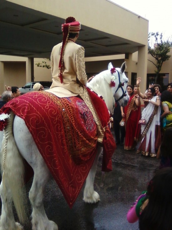 Gallery photo 2 of Clippity Clop Carriage