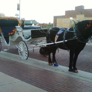 Clippity Clop Carriage