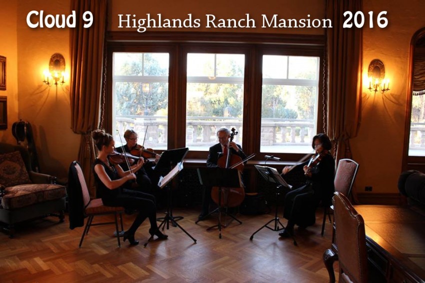 Hire Cloud 9 Strings String Quartet in Denver, Colorado