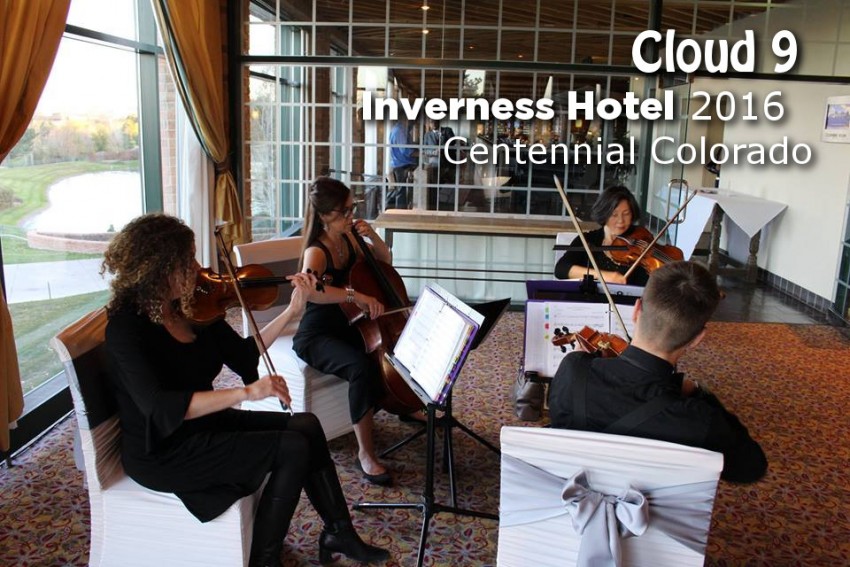 Hire Cloud 9 Strings String Quartet in Denver, Colorado