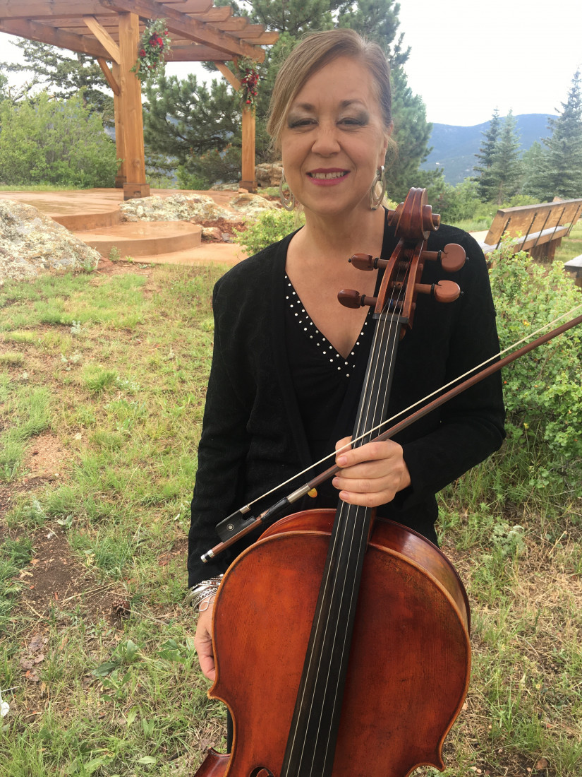 Hire Cloud 9 Strings String Quartet in Denver, Colorado