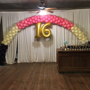 Coastal Balloon Creations - Balloon Decor / Party Decor in Myrtle Beach, South Carolina