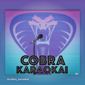 Cobra Karaokai - Karaoke DJ in Lake Forest, California