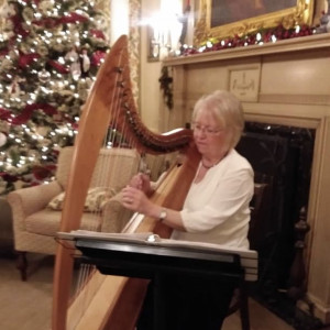 Colleen Austin - Harpist in St Michael, Minnesota