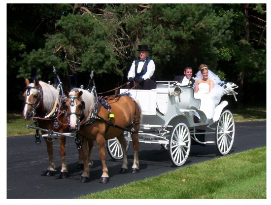 Gallery photo 1 of Colonial Acres Carriage Service
