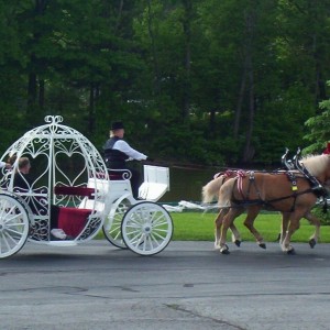 Colonial Acres Carriage Service - Horse Drawn Carriage in Vermilion, Ohio