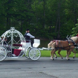 Carriage Limousine Service, Horse Drawn Carriages