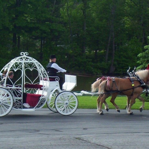 Hire Colonial Acres Carriage Service - Horse Drawn Carriage in ...