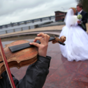 Continuo  Music - String Quartet / String Trio in Redding, Connecticut