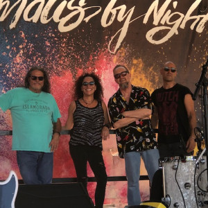 Cover to Cover Band - Rock Band in Palm Beach Gardens, Florida