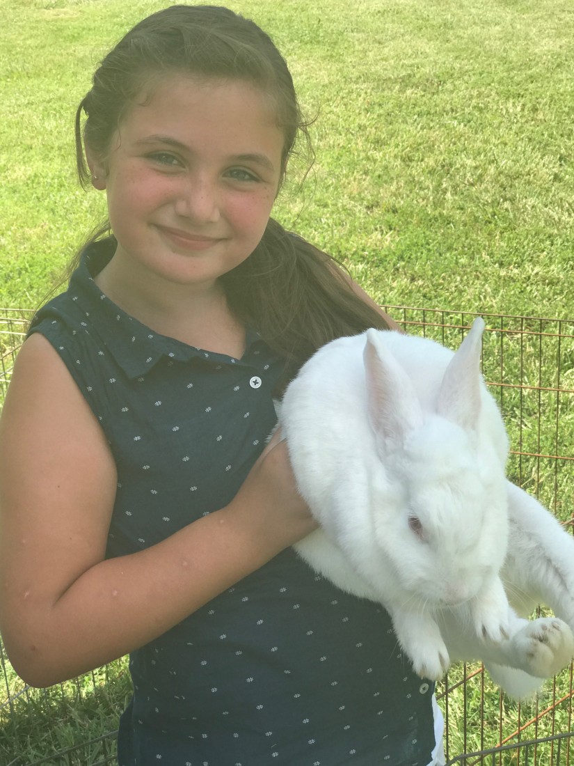 Hire Cowboy Critters Petting Zoo & Pony Rides Petting Zoo in St Louis