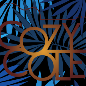 Cozy Cole Solo Bossa Nova Guitarist - Guitarist in New York City, New York