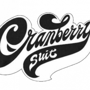 Cranberry Suit - Rock Band in Phoenix, Arizona