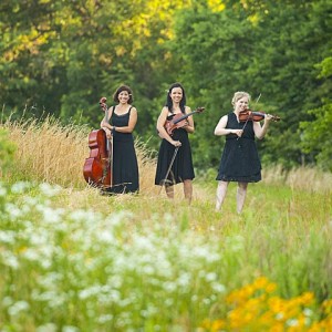 Crescendo Trio - String Trio / String Quartet in Kansas City, Missouri