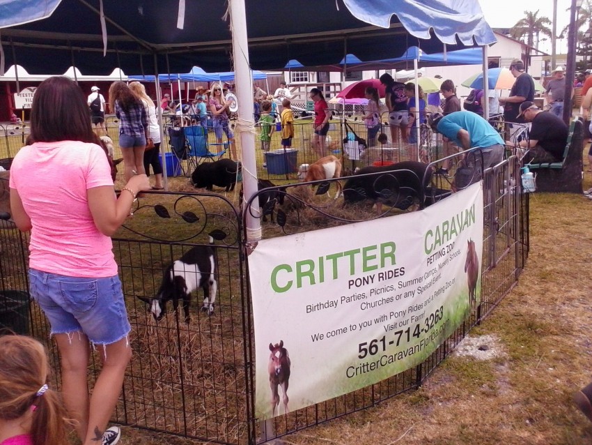 Hire Critter Caravan Petting Zoo in Jacksonville, Florida
