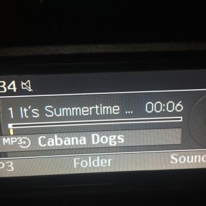 Cabana Dogs