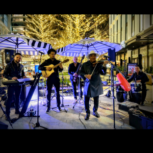 Cuban Son - Latin Band in Tampa, Florida