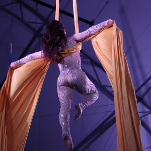 Dallas Aerialist - Aerialist in Phoenix, Arizona