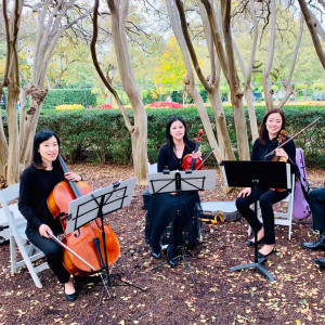 Dallas Asian Strings - String Quartet / String Trio in McKinney, Texas