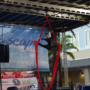 DanDoj Aerial Silks, Trapeze and Hoop - Aerialist in Miami, Florida