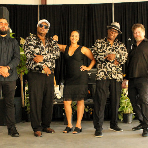 Dave Macklin Band - Dance Band / R&B Group in Brighton, Massachusetts