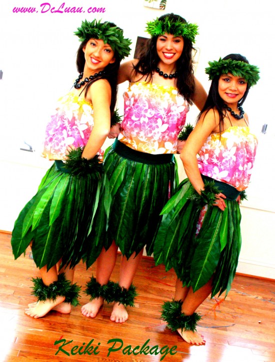 Hire Hawaiian Luau Entertainment - Hula Dancer in Woodbridge, Virginia