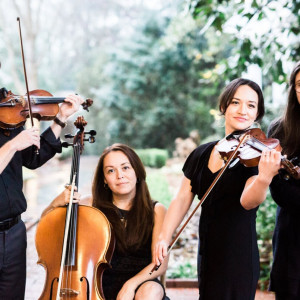 Deans' Duets - Violinist / String Quartet in North Metro, Georgia