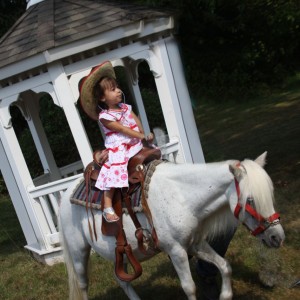 Decorated Ponies for Parties & Petting zoo too!