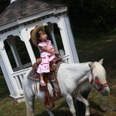 how much to rent a pony for birthday party nj
